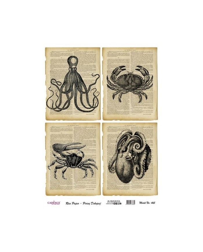 Pirinç Dekupaj 29*42 cm model 465