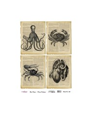 Pirinç Dekupaj 29*42 cm model 465