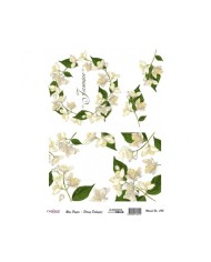 PİRİNÇ DEKOPAJ 29*42 CM MODEL 595