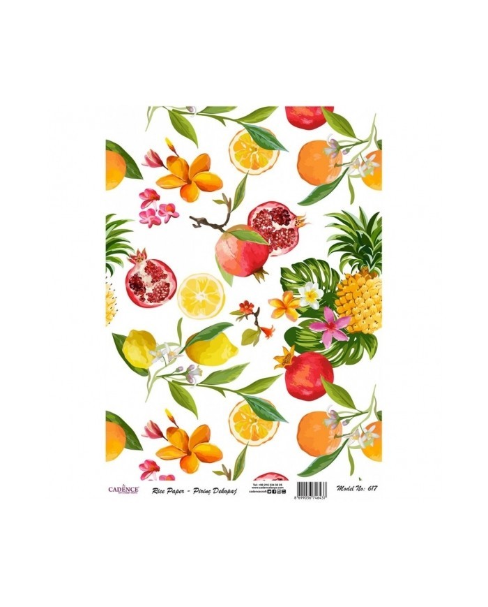 PİRİNÇ DEKOPAJ 29*42 CM MODEL 617