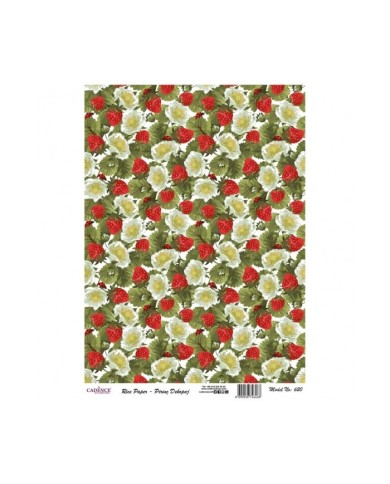 PİRİNÇ DEKOPAJ 29*42 CM MODEL 620