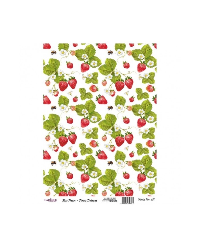 PİRİNÇ DEKOPAJ 29*42 CM MODEL 621