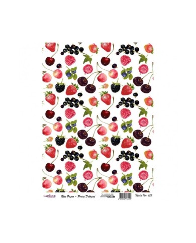 PİRİNÇ DEKOPAJ 29*42 CM MODEL 623