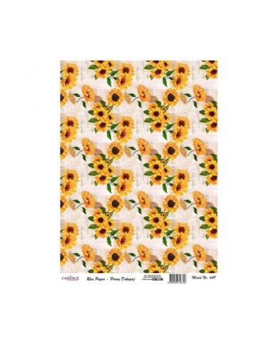 PİRİNÇ DEKOPAJ 29*42 CM MODEL 649