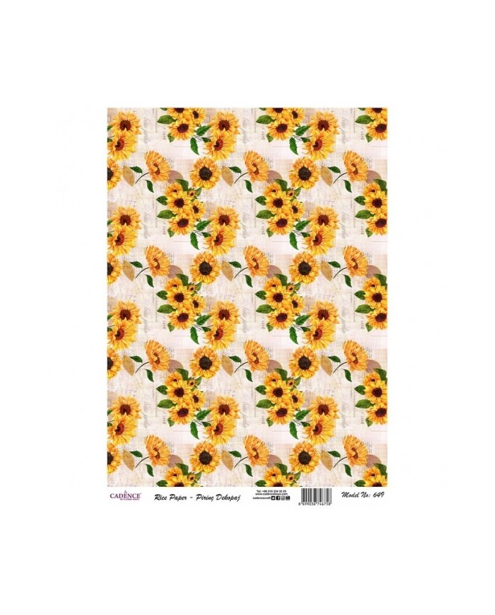 PİRİNÇ DEKOPAJ 29*42 CM MODEL 649