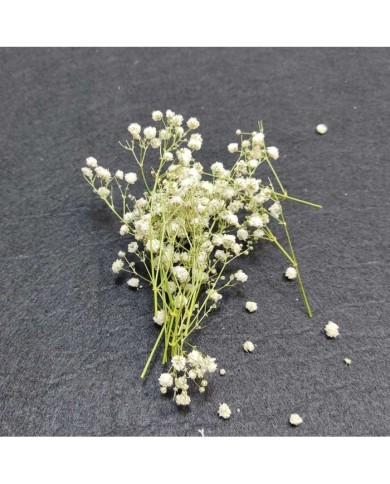 Şoklanmış Pıtırcık Kuru Çiçekler - Mini demet