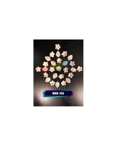 Minyatür Mine Çiçeği MNB-158