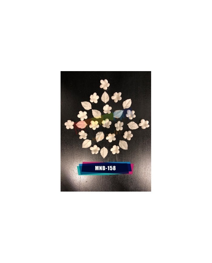 Minyatür Mine Çiçeği MNB-158