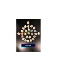 Minyatür Mine Çiçeği MNB-158