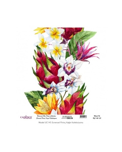 Model UC145 Evrensel Pirinç Kağıt Koleksiyonu 90x92