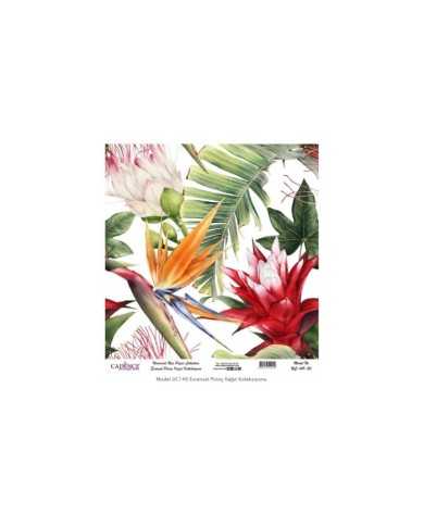 Model UC149 Evrensel Pirinç Kağıt Koleksiyonu 30x32