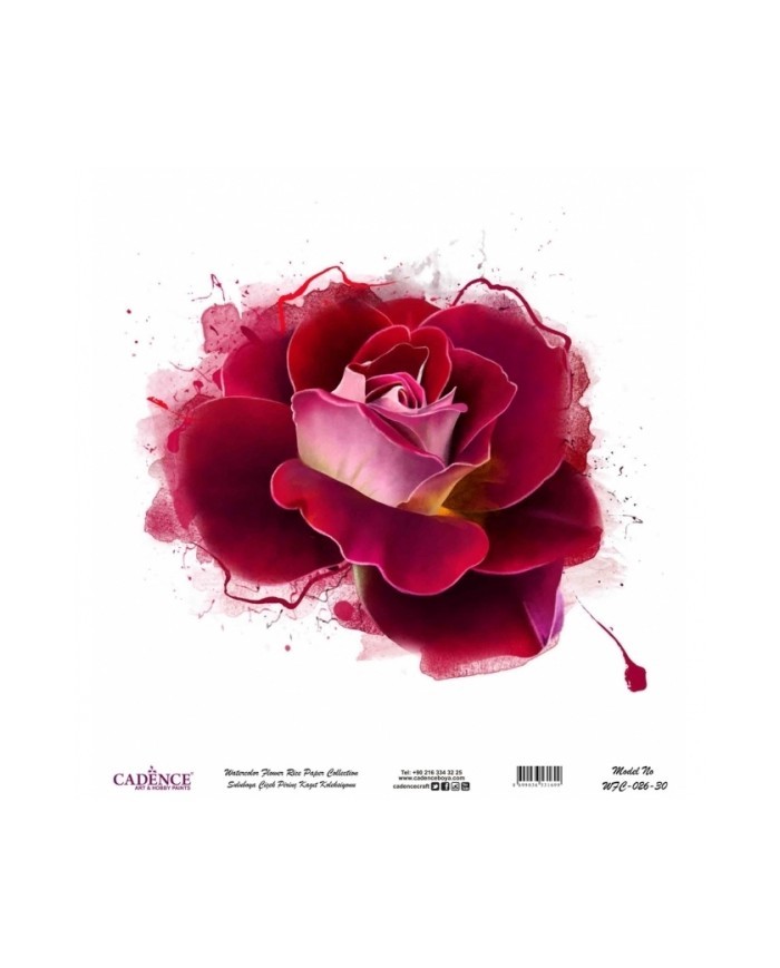 Model WFC026 Sulu Boya Çiçek Pirinç Kağıt Koleksiyonu 60x62