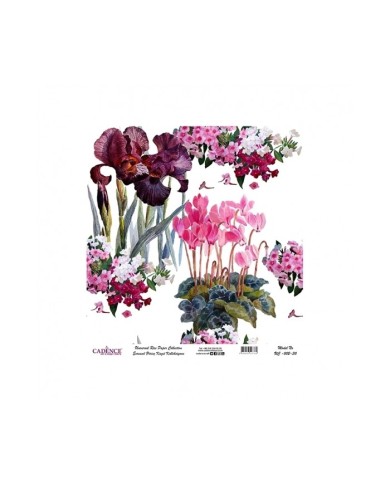 Model UC002 Evrensel Pirinç Kağıt Koleksiyonu 30x32