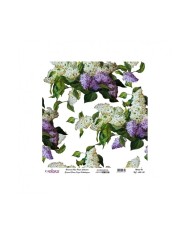 Model UC005 Evrensel Pirinç Kağıt Koleksiyonu 60x62