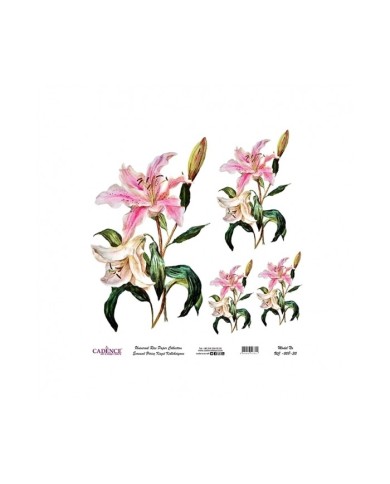 Model UC008 Evrensel Pirinç Kağıt Koleksiyonu 60x62