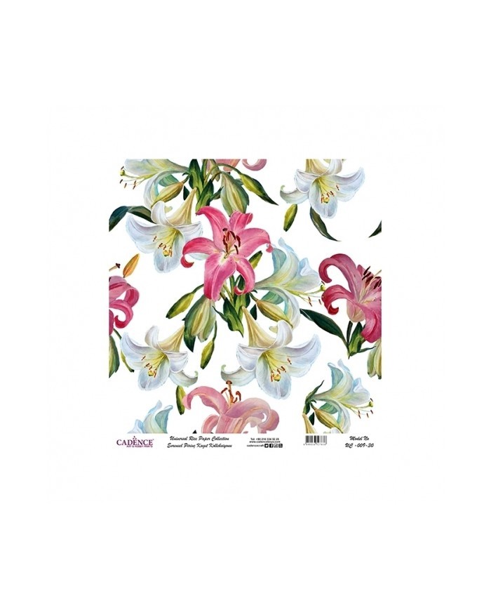 Model UC009 Evrensel Pirinç Kağıt Koleksiyonu 60x62