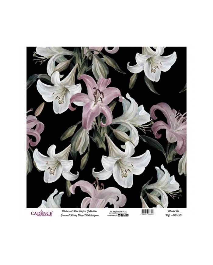 Model UC010 Evrensel Pirinç Kağıt Koleksiyonu 60x62