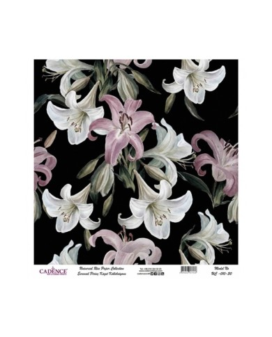 Model UC010 Evrensel Pirinç Kağıt Koleksiyonu 90x92