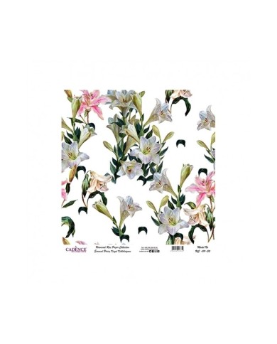 Model UC011 Evrensel Pirinç Kağıt Koleksiyonu 30x32