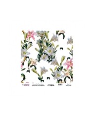 Model UC011 Evrensel Pirinç Kağıt Koleksiyonu 30x32