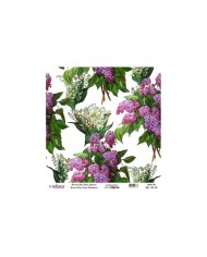 Model UC014 Evrensel Pirinç Kağıt Koleksiyonu 60x62