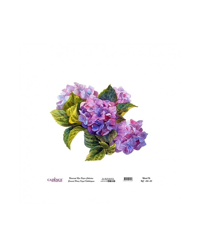 Model UC016 Evrensel Pirinç Kağıt Koleksiyonu 60x62