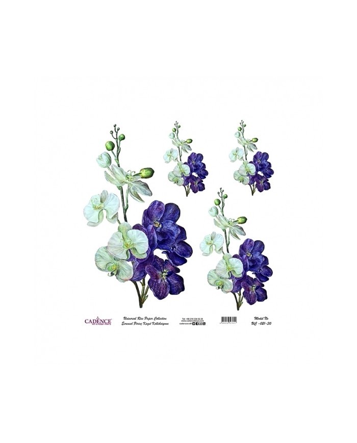 Model UC021 Evrensel Pirinç Kağıt Koleksiyonu 60x62