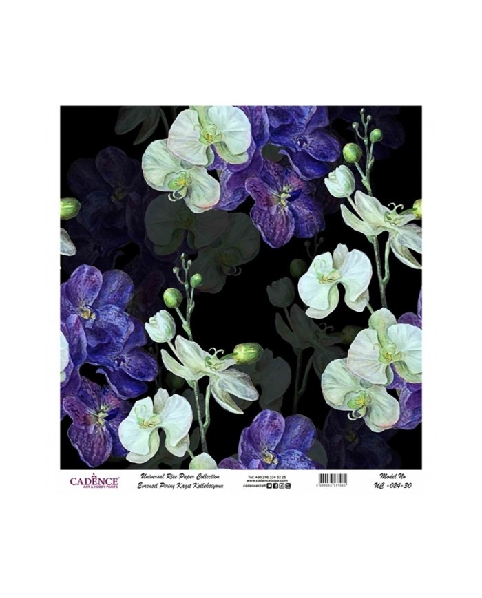 Model UC024 Evrensel Pirinç Kağıt Koleksiyonu 60x62