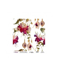 Model UC029 Evrensel Pirinç Kağıt Koleksiyonu 30x32