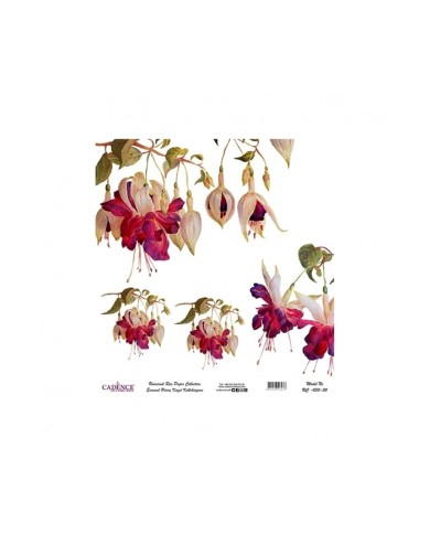 Model UC030 Evrensel Pirinç Kağıt Koleksiyonu 90x92