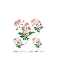 Model UC042 Evrensel Pirinç Kağıt Koleksiyonu 60x62