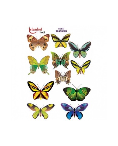 ST 178 SULU TRANSFER (24 X 34 )