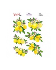 ST 144 SULU TRANSFER (24 X 34 )