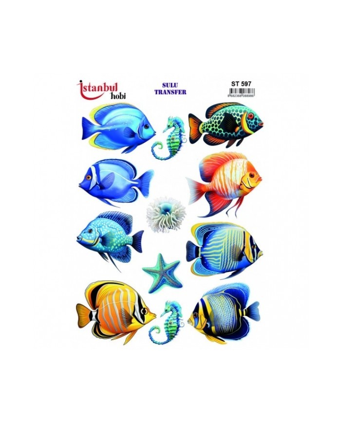ST 597 25X35 SULU TRANSFER