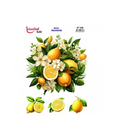 ST 429 25X35 SULU TRANSFER