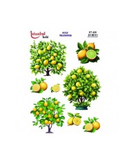 ST 420 25X35 SULU TRANSFER