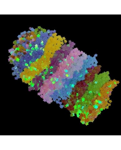 Epoksi Süsleme Pulu - Kaplumbağa