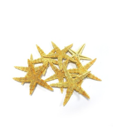 Doğal Deniz Yıldızı - Büyük Boy