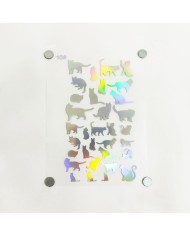 Reçine Epoksi Asetat - Kedi