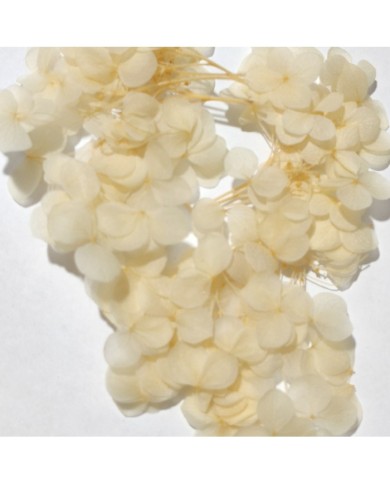 Epoksi karşıtıma ahşap çubuk 5 Adet