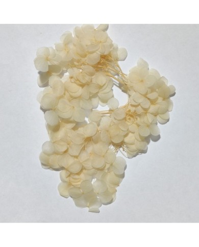 Epoksi karşıtıma ahşap çubuk 5 Adet