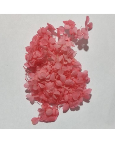 Toka Paketi Dikdörtgen Gold - 10 Adet