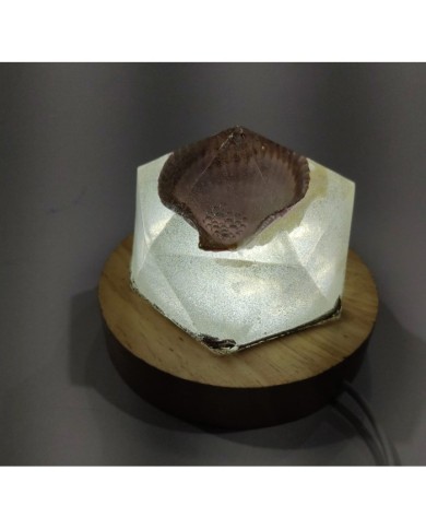 Led  Masa Üzeri Reçine Epoksi Lambası