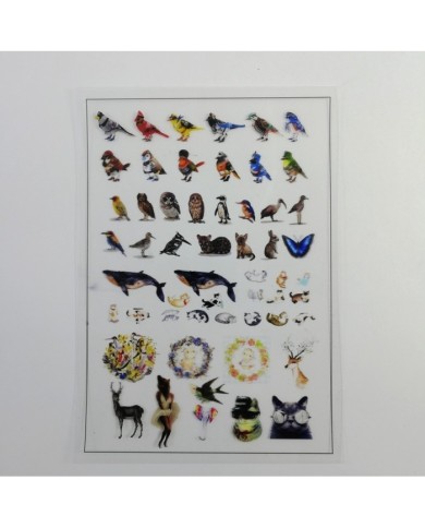 Penguen Asetat - Reçine Epoksi Asetat