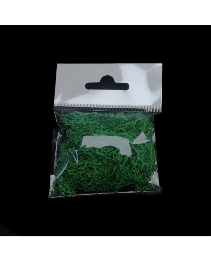 Kurutulmuş Yosun Yeşil - 5 gr