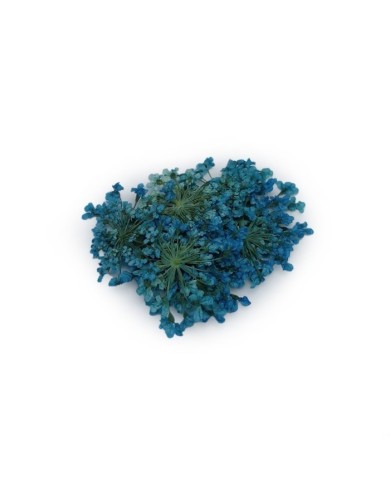 Sultan Otu - Kurutulmuş Çiçek - Turkuaz - 10 adet