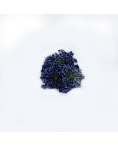 Sultan Otu - Kurutulmuş Çiçek - Mor- 10 adet