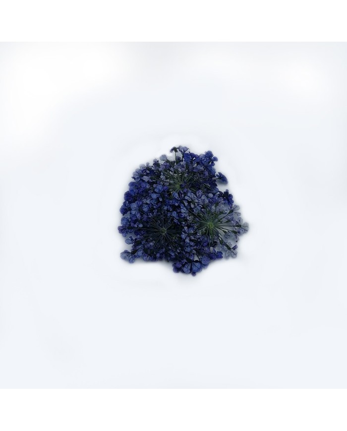 Sultan Otu - Kurutulmuş Çiçek - Mor- 10 adet