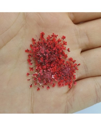 Sultan Otu - Kurutulmuş Çiçek - Kırmızı - 10 adet