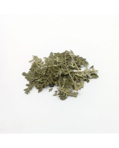 Kurutulmuş Aşk Merdiveni Mini demet 5 Adet